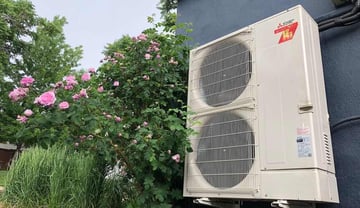 heat-pumps-coming-up-roses-1